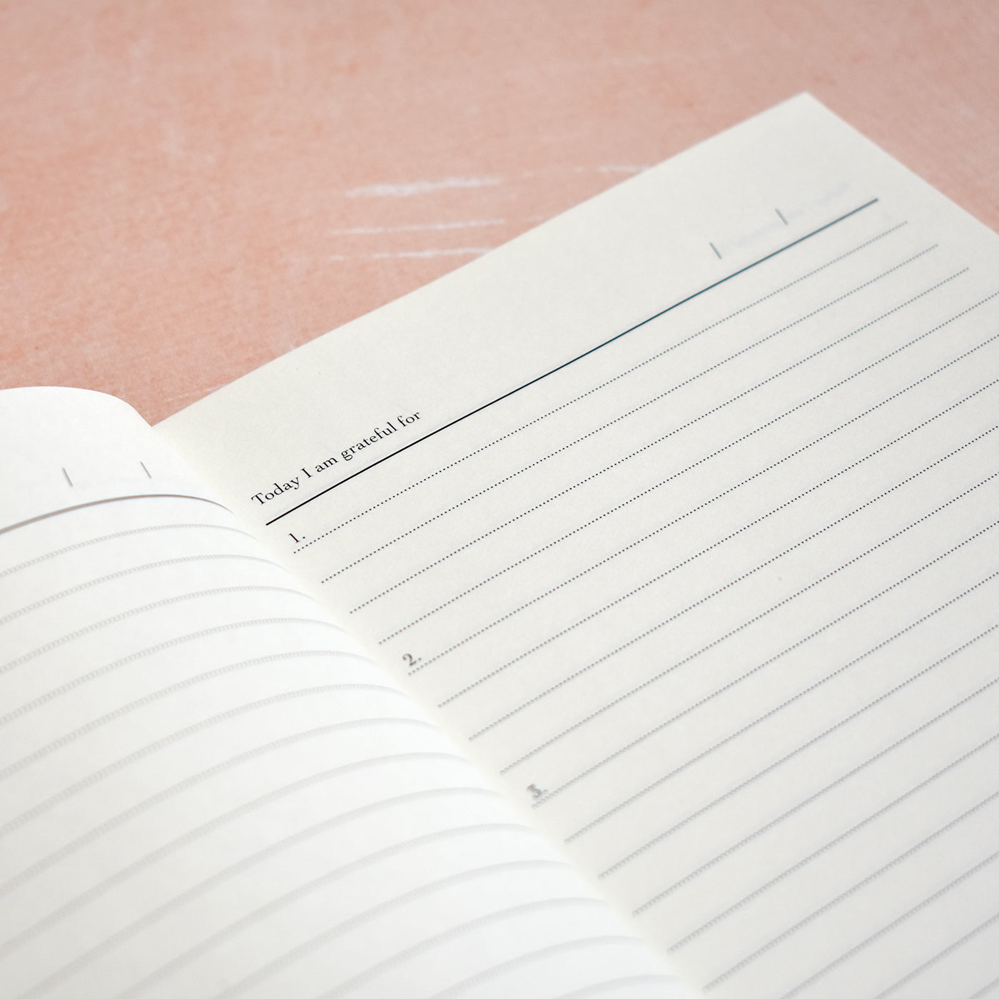 Gratitude Journal-100 Days of Gratitude (Dusty Rose, Gold Foiled)
